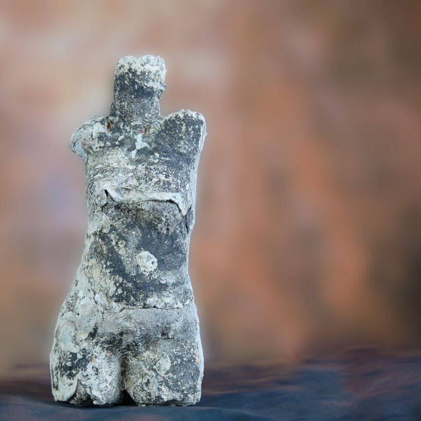 Female torso